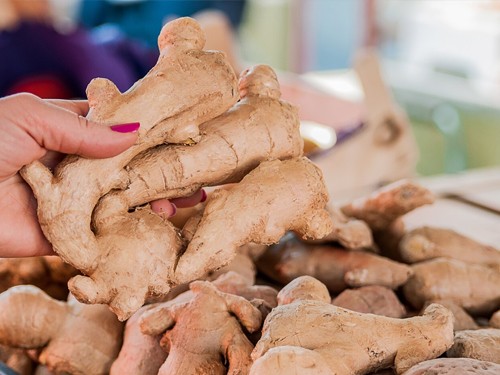 The Growing Demand for Ginger Processing in the Food Industry