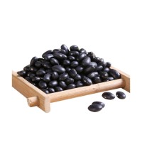 Black Kidney Beans supplied for global food importers and suppliers