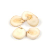 Premium grade white corn for human consumption and animal feed