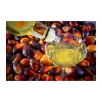 Premium palm oil bulk supply wholesale affordable price edible palm oil for food industry