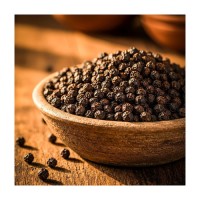 Wholesale High Quality 100% Black Pepper Wholesale Dried Black Pepper Factory Price