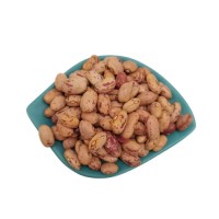 Clean sugar beans for dry food packers and bulk ingredient buyers