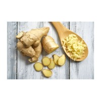 Premium quality fresh ginger bulk supply natural root export grade wholesale