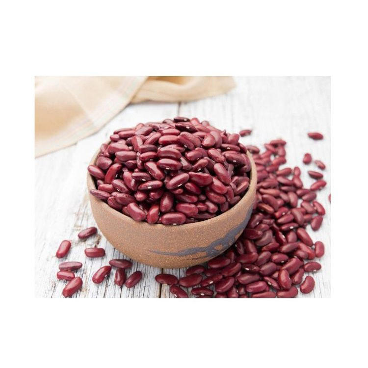 Red Kidney Bean low price bulk supply wholesale premium quality