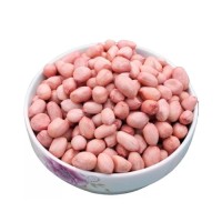 Bulk supply Peanuts wholesale affordable price fast delivery stock