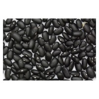 Export grade black kidney beans delivered for consistent wholesale distribution