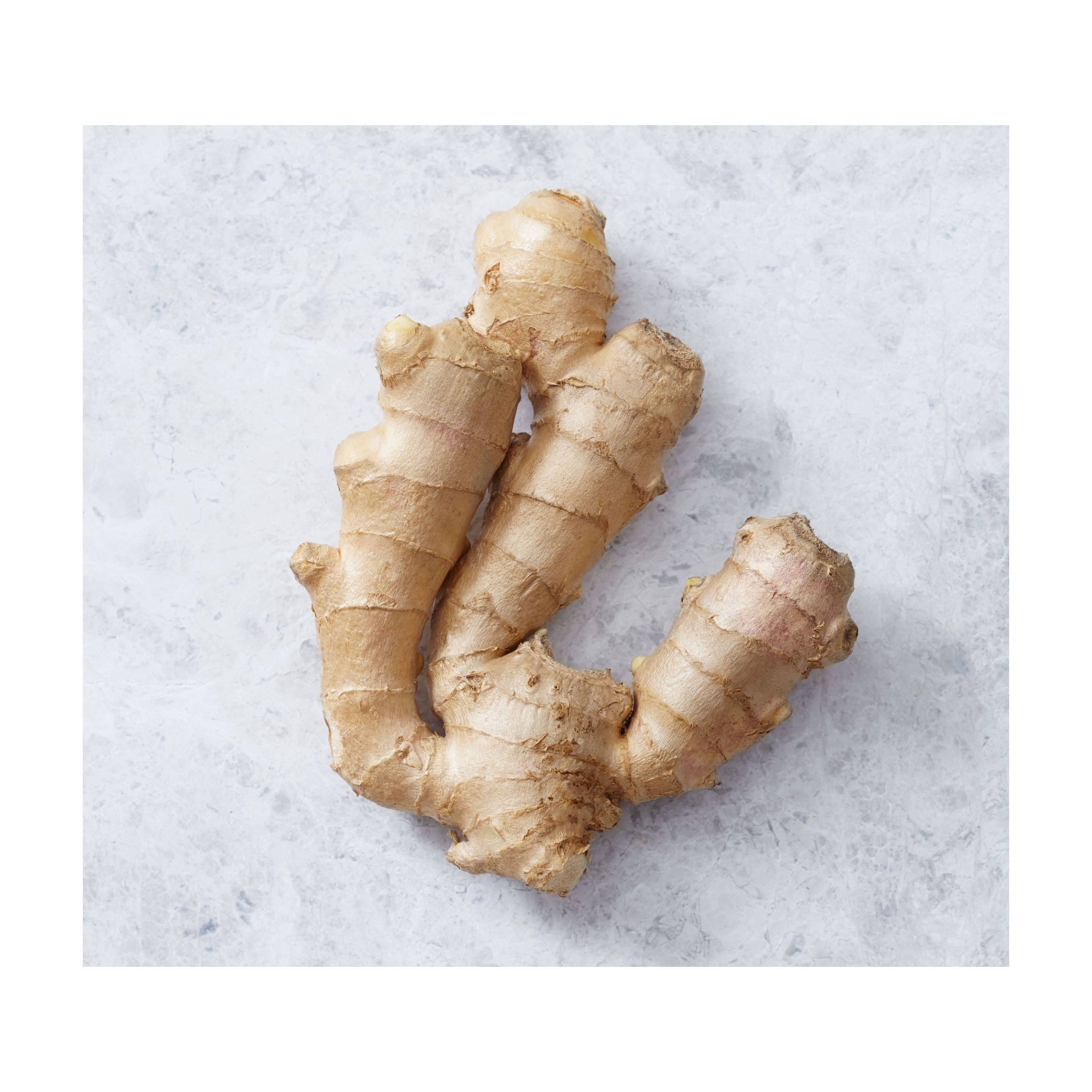 Best Product Spice Fresh Ginger Origin Export Standard