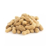 Peanuts bulk supply wholesale cheap price premium quality