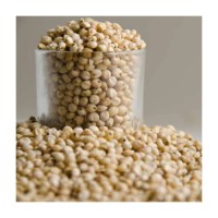 Sorghum grains wholesale bulk available at low cost for distributors