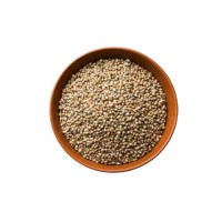 Bulk supply pearl millet premium quality grains wholesale export ready packaging
