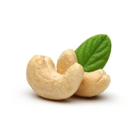 Industrial cashew nuts bulk supply premium grade kernels fast delivery