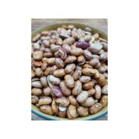 Bulk sugar beans suitable for retail packaging and commercial use