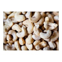 Clean cashew nuts kernel wholesale high demand nuts bulk shipment