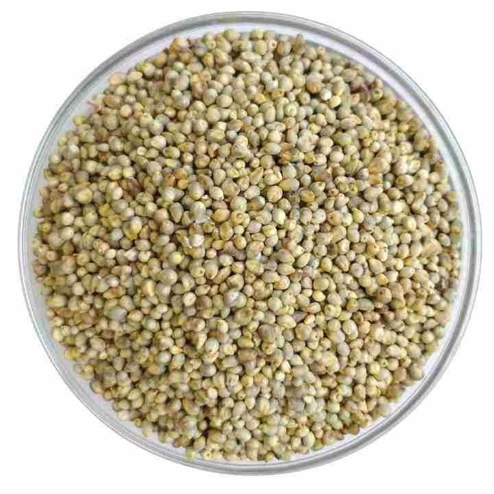High purity pearl millet bulk order clean bajra export grade