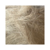 Sisal Fiber in Length 100~130cm for Gypsum / Plaster / Paper China Origin