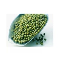 Wholesale Green Mung Beans Factory Price Green Mung Beans