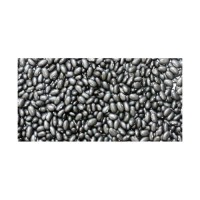 High grade black kidney beans prepared for large volume bulk sale demand