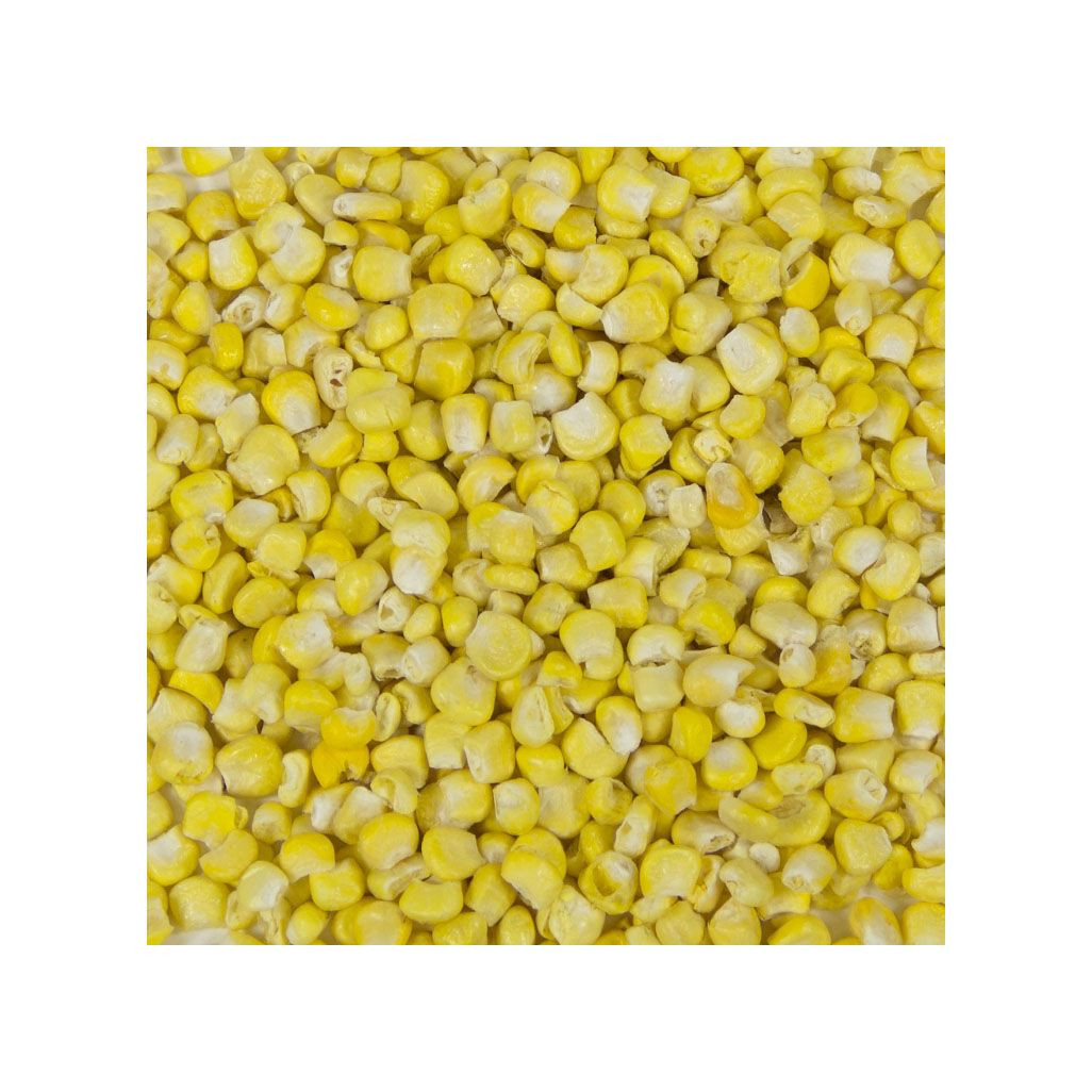 high quality dry white corn for human consumption and animal use ready for export (NON-GMO)