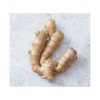 Low price fresh ginger bulk order high quality root reliable supply