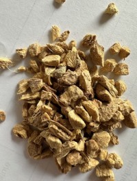 Industrial dried ginger bulk supply premium grade spice fast delivery