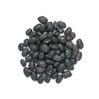 Low price black kidney beans bulk order high quality beans reliable supply