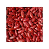 Low price Red Kidney Bean bulk supply wholesale fresh harvest