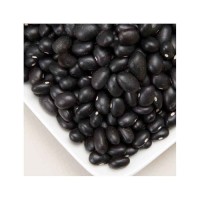 Premium quality black kidney beans bulk supply natural pulses export grade wholesale