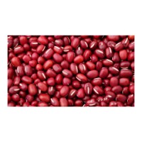 Red Kidney Bean low price bulk supply export quality wholesale