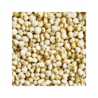 Sorghum grains wholesale bulk in export standard packaging cheap price