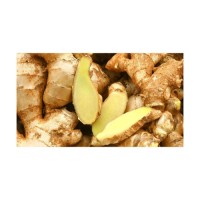 Wholesale organic fresh ginger for export fresh ginger supplier export bulk ginger