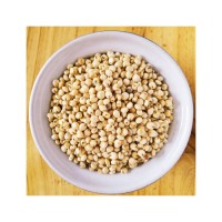 Wholesale sorghum grains in large bulk packaging cheap price