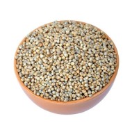 Natural pearl millet wholesale bulk order clean grains reliable shipment