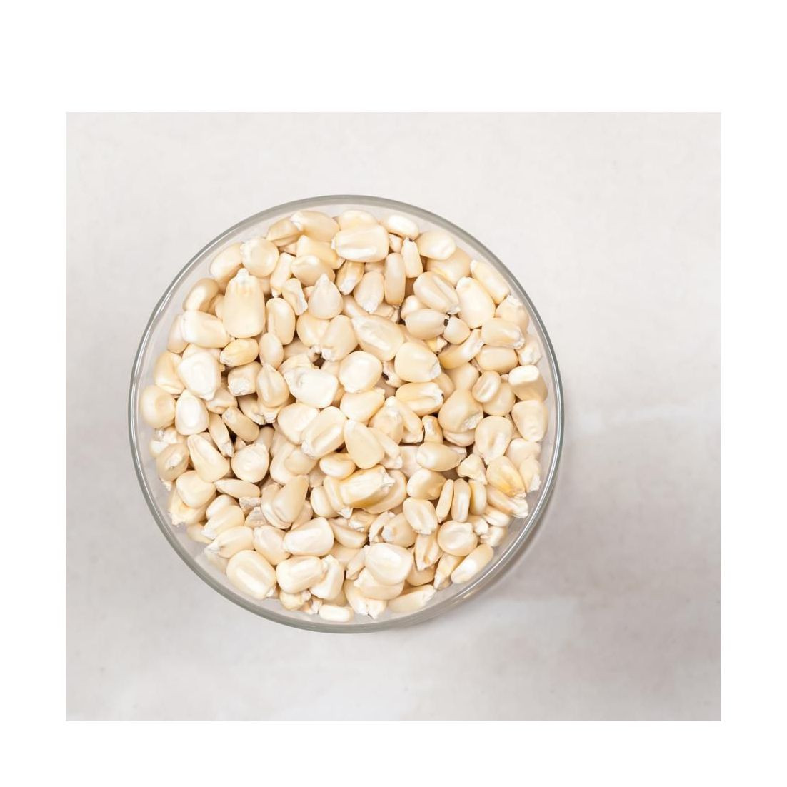 Premium white corn wholesale bulk supply export grade maize kernels fast delivery