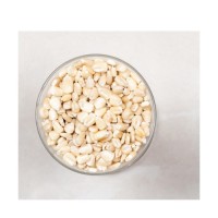 Premium white corn wholesale bulk supply export grade maize kernels fast delivery