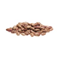 Wholesale sugar beans available for food chains and suppliers