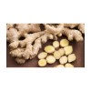 Factory price fresh ginger wholesale premium grade ginger bulk shipment ready