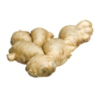 High yield fresh ginger available for sale with fast export and packing options