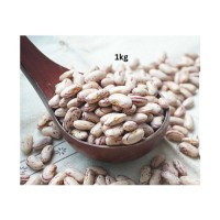 Sugar beans available year-round for global trade markets