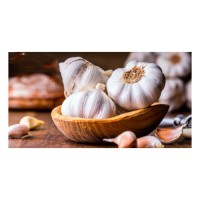 Cheap Price Wholesale Fresh Peeled Garlic For Sale In bulk