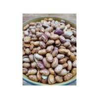 Food grade sugar beans offered in various packaging options