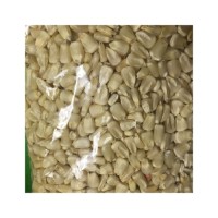 wholesale Price dry white corn High Quality Yellow Maize Corn for Animal Feed Supplier