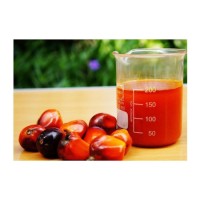 Palm oil wholesale bulk supply cheap price reliable refined palm oil for export