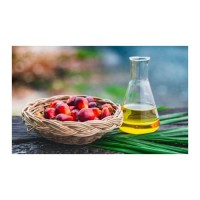 Wholesale palm oil bulk supply low price refined cooking oil for export