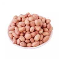Fast delivery Peanuts wholesale bulk supply cheap price top grade