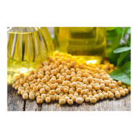 Low price Soybean Oil prepared for buyers seeking steady quantity purchasing