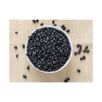 Clean black kidney beans bulk sale high quality pulses wholesale distribution