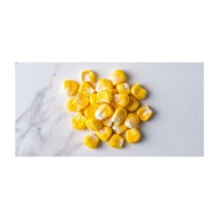 dry white corn For Animal Feed / dry white corn For Popcorn