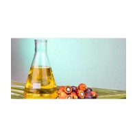 Low price Palm Oil prepared for high volume shipment supporting large scale trade