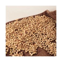 Wholesale sorghum grains bulk supply ready for global export