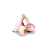Low price Fresh Garlic available in various grades for different markets